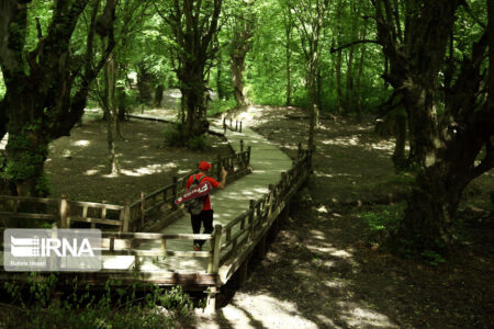 شهرداری کرمان: میراث مانع اجرای طرح پارک گردشگری شد