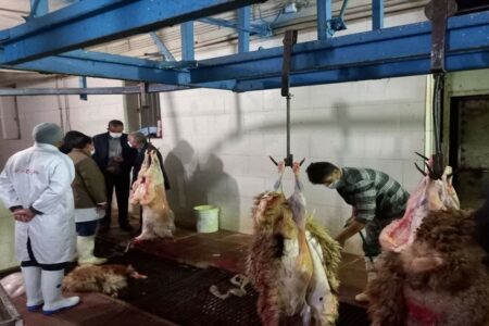 ساماندهی کشتارگاه دام شهرداری زرند