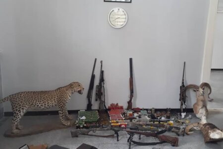 کشف یک قلاده پلنگ تاکسیدرمی در کرمان