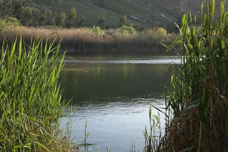 پاکسازی تالاب جازموریان به مناسبت روز زمین پاک