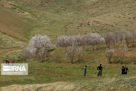 توصیه‌های محیط زیست کرمان برای پاسداشت روز طبیعت