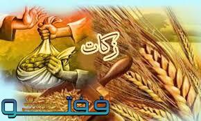 ۸۴۰ میلیارد ریال زکات در کرمان جمع‌آوری شد