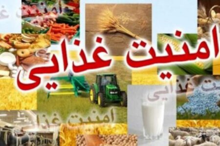 واحد های صنفی  ‌کالا های اساسی  شهرستان روزانه با گشت های مستمر تنظیم بازار کنترل خواهد شد