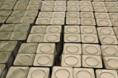 ۲۲ تن روغن قاچاق در ریگان توقیف شد