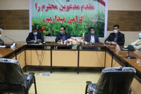 پیش بینی برداشت حدود شصت هزار تن محصول گندم از سطح ۱۸۰۰۰ هکتار مزارع شهرستان