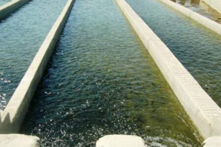 احداث دهکده های پرورش ماهی در ۳نقطه شهرستان