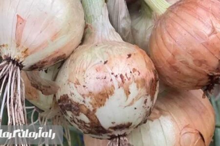 بهارانه های جیرفت