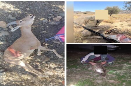 تلفن همراهِ شکارچی، او را لو داد