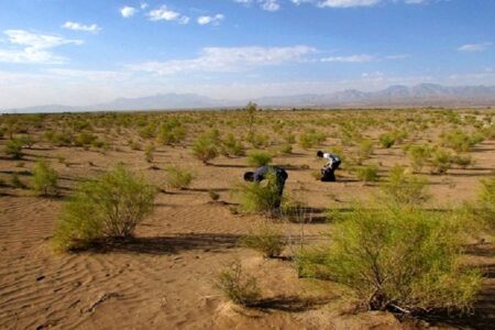 مقابله با بیابانزدایی در کرمان نیازمند اعتبارات ویژه است