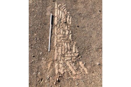 یک قدم برای نقشه باستان‌شناسی سیرجان