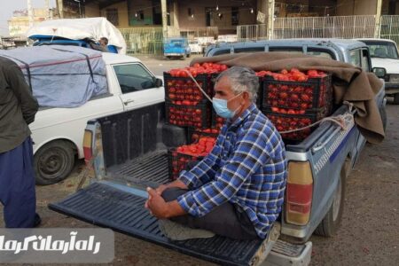 دست دلالان؛ رونق و امان را از کشاورزان گرفته است