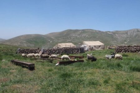 کوچ عشایر جنوب کرمان به مناطق ییلاقی آغاز شد