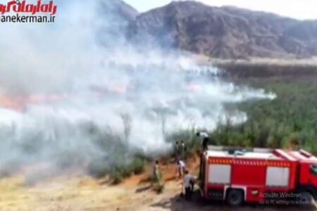 تصاویر هوایی آتش سوزی جنگل مهروئیه
