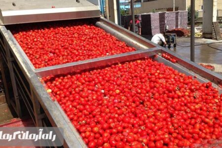 مشکل تأمین سوخت کارخانه‌های رب گوجه جنوب کرمان حل شد