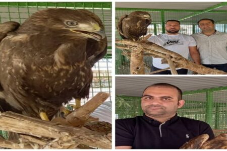 تحویل دو بهله سارگَپه آسیب دیده به محیط زیست