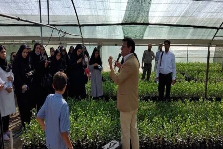 تحقیقات دانشگاه ولیعصر(عج) رفسنجان بر روی ۶۰ هزار نهال پسته