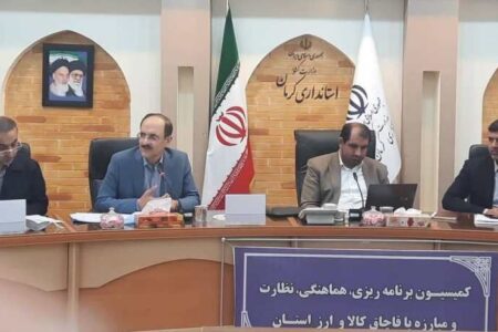 یک مسئول: تصور دورزدن تحریم با قاچاق کالا خام‌اندیشی است