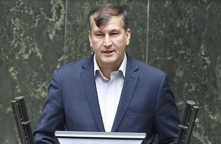 تصویب صادرات مرکبات به چین/ جنوب کرمان در تولیدات خارج فصل به داد کشور رسیده است