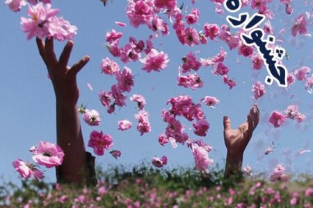 جشنواره گل محمدی به میزبانی لاله‌زار/ اتفاقات متفاوتی در راه است