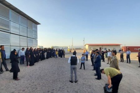 تحقیق بر روی بیماری‌های تأثیرگذار بر پسته