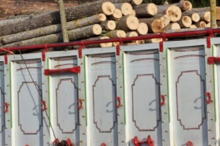 کشف ۱۵ تن چوب قاچاق در شهرستان زرند
