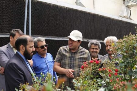 کشاورزی دانش بنیان راهی مطمئن برای مبارزه با آفات پسته