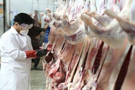 نظارت ۴ اکیپ ثابت و سیار بر ذبح دام‌ درکوهبنان