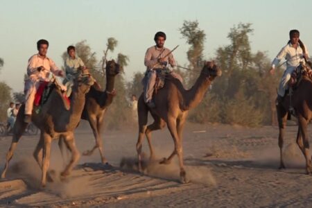 جشنواره‌ "شتر سواری "سیریز برگزار می‌شود