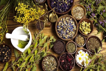 زرند میزبان جشنواره گیاهان دارویی می‌شود