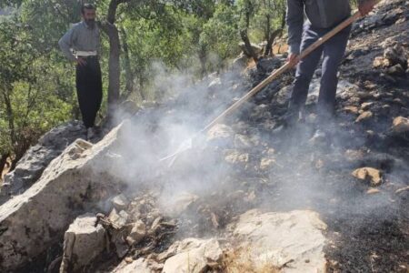 علت آتش‌سوزی باغ‌های دلفارد عامل انسانی اعلام شد