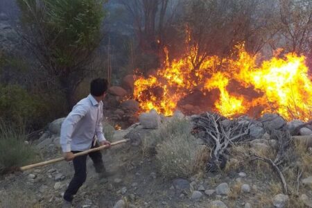 ۳ هکتار از باغات رُزملک در شهربابک طعمه حریق شد