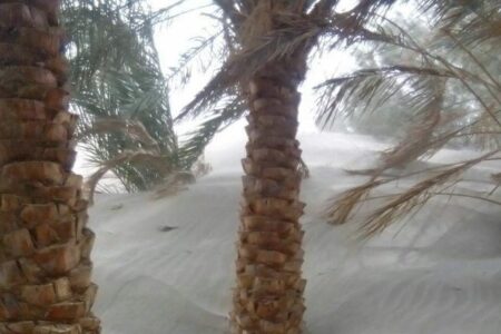 طوفان شن شرق کرمان را فرا می‌گیرد / افزایش آلودگی در استان