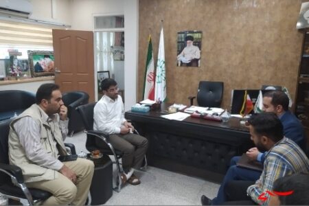 تاکید مسئول بسیج هنرمندان استان بر هم افزایی ظرفیت های فرهنگی و هنری در رفسنجان