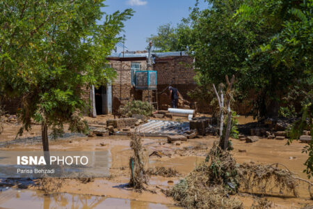 خسارت سیل به ۸۰۰۰ هکتار باغات پسته شهرستان/ قطع آب شهر انار