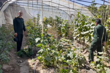 بازدید مسئول بسیج سازندگی سپاه ثارالله از کارگاه های اقتصاد مقاومتی و اشتغال‌زایی شهرستان رابر