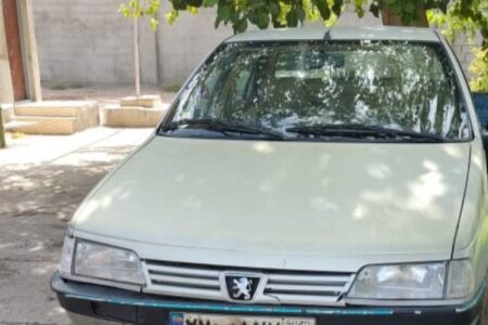 خودروی سرقتی از رفسنجان هنگام عبور از ریگان کشف شد