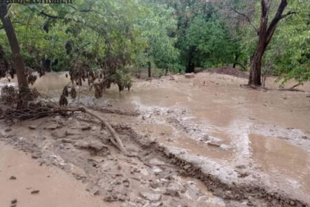 سیلاب در روستای فیض آباد راور