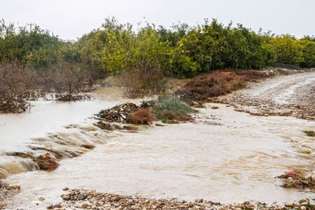 خسارت ۳۷۱ میلیاردی سیل به کشاورزی جنوب کرمان