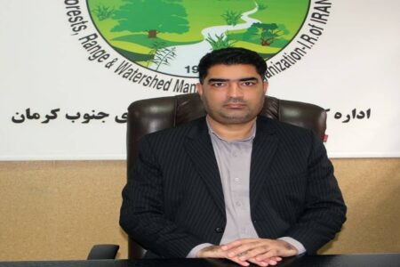 آبخیزداری جنوب کرمان مانع برخی خسارت ها در سیل شد
