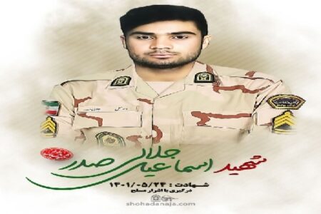 مأمور پلیس در رودبار جنوب به شهادت رسید