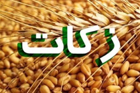 برگزاری جشنواره زکات در کرمان