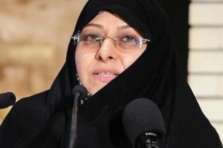 اعطای زمین به ۲ خانواده چهار قلو در کرمان