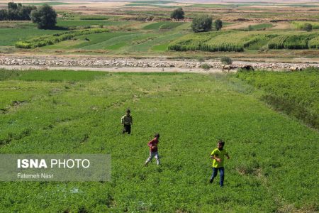 افتتاح ۳۶ طرح کشاورزی در هفته دولت در جنوب کرمان