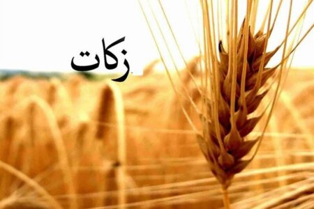 سال گذشته در استان کرمان چقدر زکات پرداخت شد؟