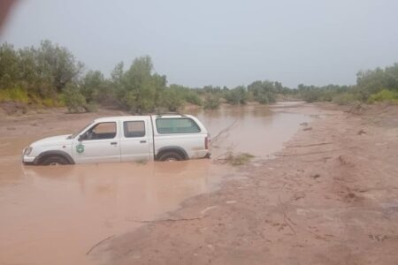 آبگیری ۲۰ درصدی تالاب جازموریان/آبگیری همچنان ادامه دارد + فیلم