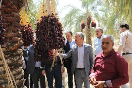 ۶۰۰۰ میلیارد تومان بودجه دولت برای خسارت‌دیدگان بخش کشاورزی اما….