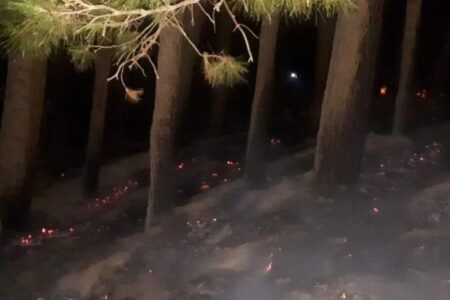 آتش سوزی جنگل بوستان خواجه خضر مهارشد