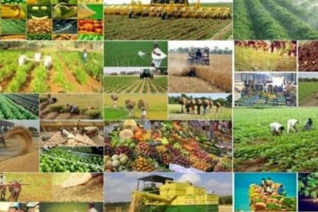 تخصیص اعتبار هزار و ۶۴۰ میلیارد تومانی به حوزه کشاورزی شمال استان در سفر رئیس جمهور