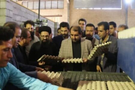 دو طرح در شهرستان ارزوئیه افتتاح شد