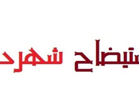 شهردار جیرفت استیضاح شد/معرفی تورج امیرفضلی به‌عنوان سرپرست شهرداری
